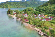 Teluk Buo, Padang: Destinasi Wisata Ekowisata yang Menawan