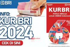 KUR BRI: Solusi Modal bagi UMKM, Kisah Sukses Pengusaha Mikro