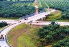 Jalan Tol Palembang-Betung Ditargetkan Tuntas Awal 2025, Benarkah?