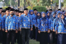 Gaji PPPK Lulusan Sarjana Tahun 2025 Terungkap! Cek Besaran Tunjangan dan Skema Lengkapnya