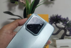 Poco C81 dan C81X Resmi Meluncur, Perkuat Dominasi Smartphone Entry-Level di Pasar Berkembang