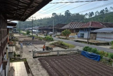 Provinsi Lampung Tanpa Desa Sangat Tertinggal, Fokus pada Penerapan Smart Village