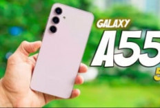 Samsung Galaxy A55 Masih Jadi Primadona, Meski “Pelit” dan Kurang Kencang