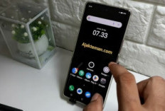 5 Cara Cek Tipe HP Vivo Semua Seri — Tanpa Ribet, 100% Akurat!