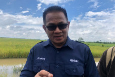 Stok Beras di Gudang Bulog Sumsel Babel Sebanyak 36 Ribu Ton