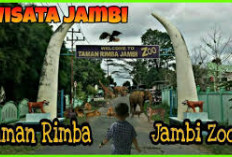 Wajib Dikunjungi, Ini 5 Destinasi Wisata Menarik di Daerah Jambi