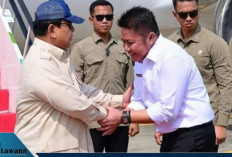 Prabowo Puji Gubernur Sumsel! Produksi Padi Naik 25%, Sumsel Siap Geser Jatim Sebagai Raja Pangan!