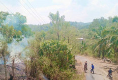 Karhutla Landa Empat Lawang, 33 Hektar Lahan Terbakar