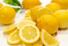 Ini Manfaat Rutin Minum Air Lemon Hangat Setiap Pagi