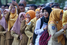 20 Tahun Mengabdi, Honorer K2 Kemenkes Dipecat di Tengah Proses PPPK