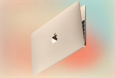 MacBook Murah Apple Siap Mendarat 2026, Industri Teknologi Panik?