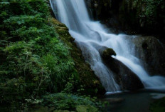 Air Terjun Curup Lungkuk, Destinasi Wisata Tersembunyi di OKU Selatan yang Wajib Dikunjungi