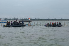Hampir Tuntas, TNI AL Sebut Pembongkaran Pagar Laut Sudah Mencapai 20,7 Km
