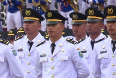 Lulus CPNS dan Kuliah Gratis? Ini 8 Sekolah Kedinasan yang Bisa Kamu Daftar Tahun 2025!