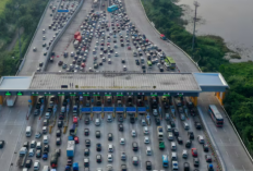 Cek CCTV Tol Online: Hindari Macet & Lancarkan Perjalanan Mudik!