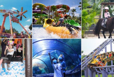 Wajib Dicoba, Ini 5 Destinasi Wisata Alam dan Keluarga yang Nyaman
