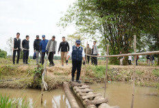 Gubernur Sumsel Tinjau Cetak Sawah Baru di Banyuasin