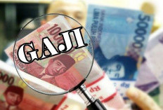 Duduk Perkara Isu Kenaikan Gaji PNS 2025 Naik 16 Persen, Komdigi dan Kemenkeu Buka Suara