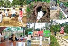 3 Rekomendasi Wisata Pendidikan di Bandar Lampung: Liburan Seru Sambil Belajar
