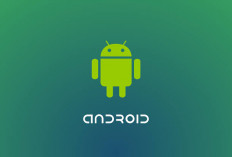 Gugatan Privasi Android Mengguncang Google, Kompensasi Rp 2,3 Triliun Disiapkan