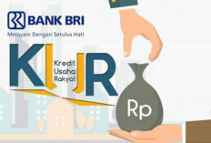 KUR BRI Permudah Nasabah Kembangkan Usaha, Bunga Kecil dan Pencairan Cepat