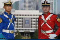 Peluang Emas 2026! Dua Sekolah Kedinasan Baru Siap Cetak CPNS, Ini Daftar dan Keunggulannya