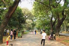 Taman Menteng Jakarta, Destinasi Rekreasi Edukatif untuk Keluarga