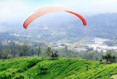 Fly Indonesia Paragliding: Membawa Pengalaman Terbang ke Puncak