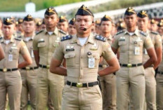 Kuliah Gratis, Langsung Jadi CPNS: Ini 10 Sekolah Kedinasan dengan Peminat Terendah