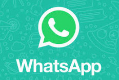 Memori Penuh Akibat WhatsApp? Ini 7 Cara Efektif Mengatasinya