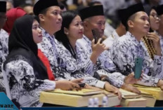 Cair Agustus-September! Begini Cara Verifikasi Rekening Guru Non-ASN agar Insentif 2025 Tidak Hangus