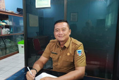Lahat Sudah Miliki 300 Kelompok Budidaya Ikan