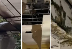 Rumah Dinas Wali Kota Rusak dan Terbengkalai