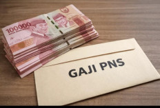 Bukan Karena Kas Negara Kosong, Ini Alasan Kenaikan Gaji PNS 2026 Masih Tertahan