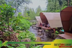 Taman Kopi Guntang: Wisata Alam Terbaru dengan Glamping Mewah dan Kafe Instagramable di Gunung Puntang.