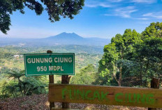 Melihat Keindahan Gunung Ciung Sentul: Pesona Alam, Aktivitas Outdoor, dan Warisan Budaya Bogor