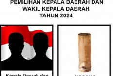 Pilkada Serentak 2024: Apa yang Terjadi Jika Calon Tunggal Tidak Capai 50% Suara?