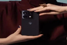 Motorola Signature Resmi Dijual, Flagship Killer Snapdragon 8 Gen 5 dengan Harga Menggoda