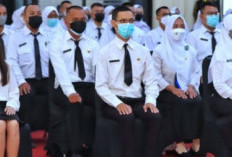 Lolos CPNS Tapi Mundur Massal! Ini Alasan Ribuan Orang Tinggalkan Formasi