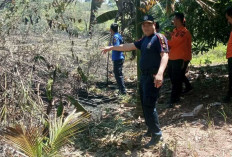 Satu Hektar Lahan Tidur Terbakar