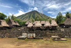 4 Rekomendasi Wisata Budaya di Kupang: Menyaksikan Pesona Warisan dan Tradisi Nusa Tenggara Timur