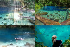 Danau Kaco: Surga Tersembunyi di Taman Nasional Kerinci Kota Jambi.