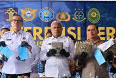 BNN Ungkap Peredaran Gelap Ganja Seberat 624 Kg dari Aceh ke Sumbar