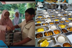 Guru Penanggung Jawab Program MBG di Sekolah Terima Insentif Rp100 Ribu Per Hari