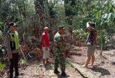 Medan Yang Terjal Menjadi Kendala Utama