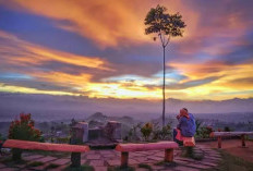Bukit Moko, Surga Tersembunyi di Bandung dengan Pemandangan Spektakuler!