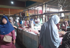 Harga Daging Sapi Alami Kenaikan