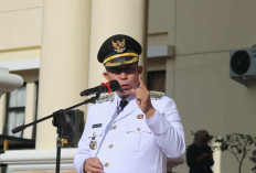 Suguhkan Wisata Alam, Sejarah Hingga Budaya
