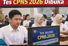 Tes CPNS 2026 Dibuka? Menpan-RB Rini Widyantini Beri Sinyal Hijau, 160 Ribu Formasi Siap Diisi Fresh Graduate!