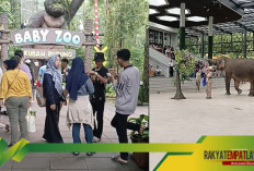 Taman Safari Jadi Destinasi Wisata Favorit Libur Nataru 2024-2025, Ini Harga Tiketnya